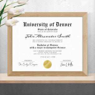Diploma för svartvit och vit Elegant Student Poster