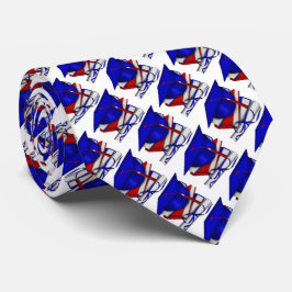 Diploma, kapp och Bokar i studenten Slips