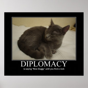 Diplomatkattverk Poster