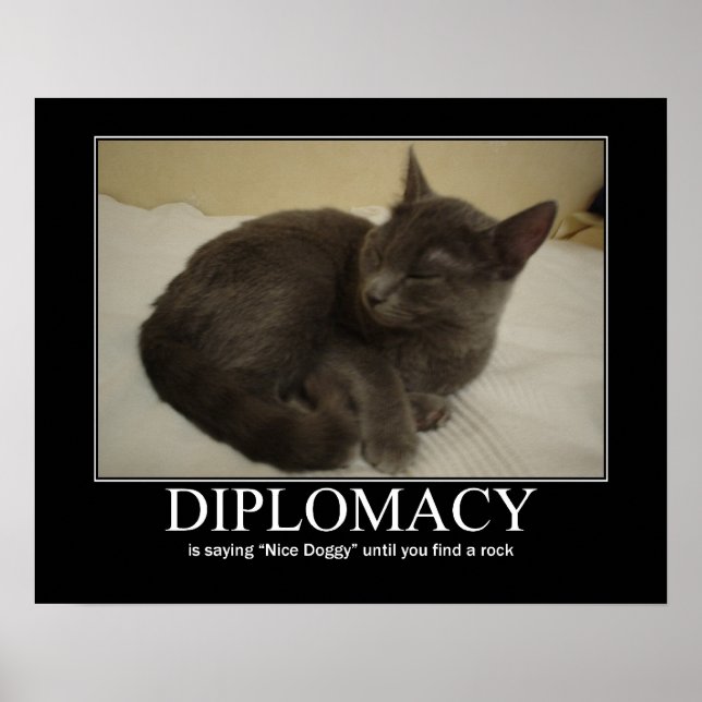 Diplomatkattverk Poster (Framsidan)