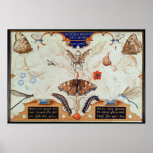 Diptych med blommor och insekter, 1591 poster