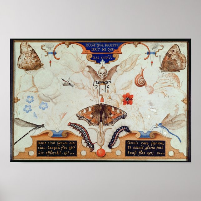 Diptych med blommor och insekter, 1591 poster (Framsidan)