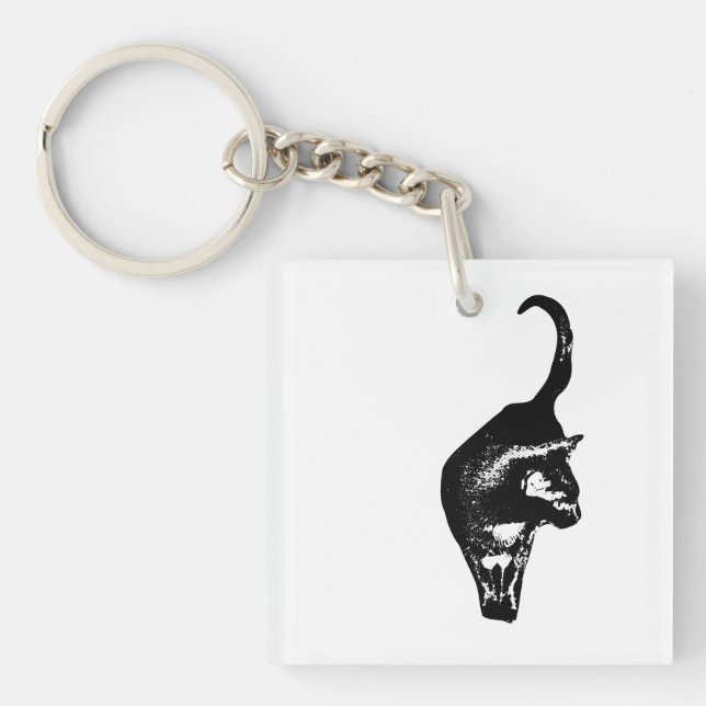 Direkt Kattcharm (Framsidan)