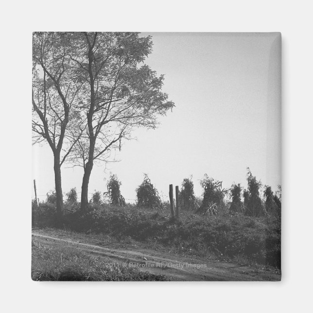 Direkt väg vid fält B&W Magnet (Framsidan)