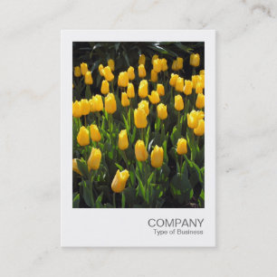 Direktfoto 03 - Gult Tulips Visitkort
