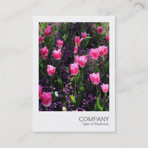 Direktfoto 089 - Rosa Tulips-förband Visitkort
