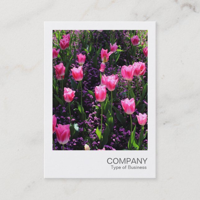 Direktfoto 089 - Rosa Tulips-förband Visitkort (Framsida)