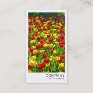 Direktfoto - Röd och Gult Tulips Visitkort