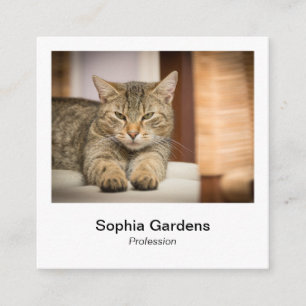 Direktfoto Stil - Tabby katt Fyrkantigt Visitkort