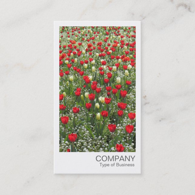 Direktfoto - Tulips-foto Visitkort (Framsida)
