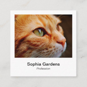Direktfotot Stil - Ginger Cat Fyrkantigt Visitkort
