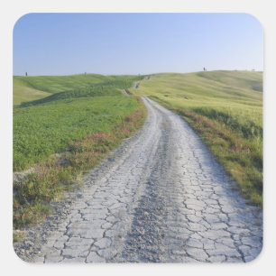 Dirt Road genom Fält och Backe, Val d'Orcia Fyrkantigt Klistermärke
