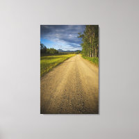 Dirt Road i Eagle, Alaska