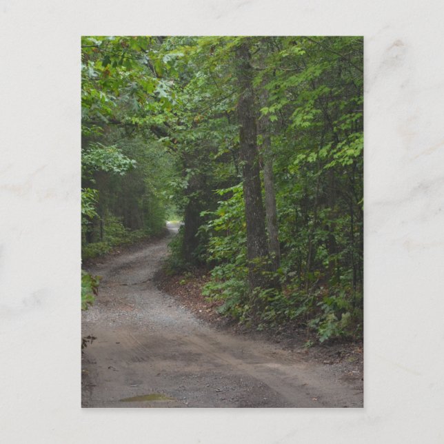 Dirt Road i somras Vykort (Framsida)