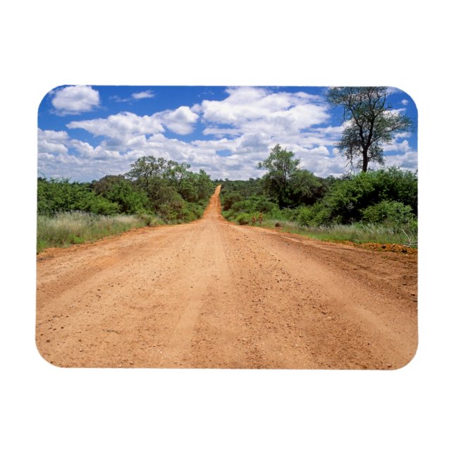 Dirt Road, Kruger National Park, Mpumalanga Magnet (Horisontell)