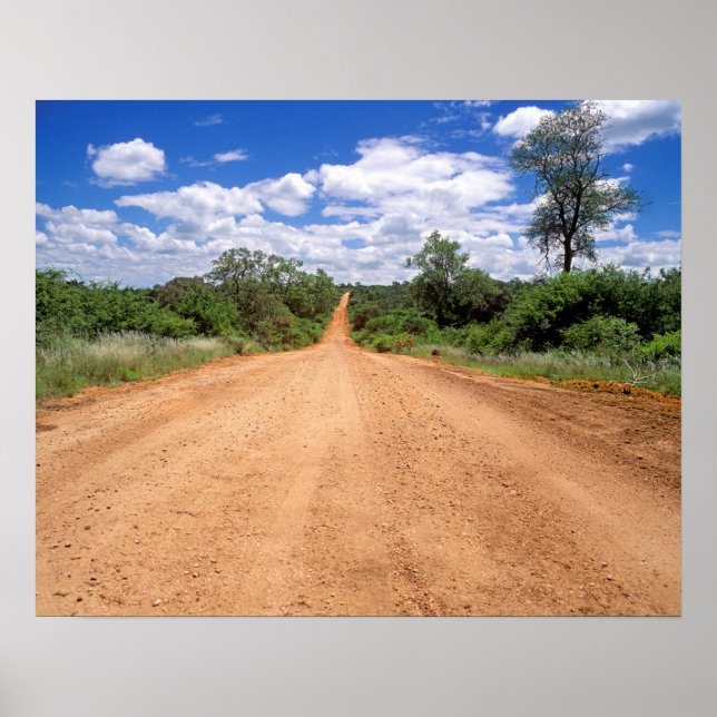 Dirt Road, Kruger National Park, Mpumalanga Poster (Framsidan)