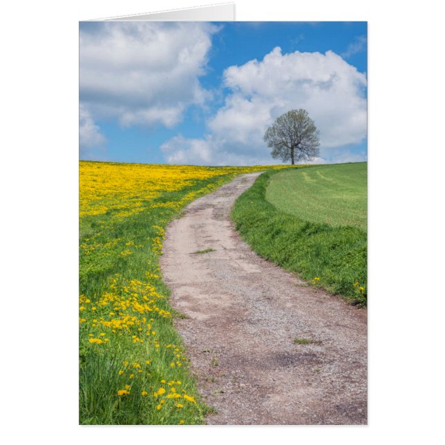 Dirt Road och Träd Hälsningskort (Framsidan)