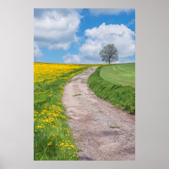 Dirt Road och Träd Poster (Framsidan)