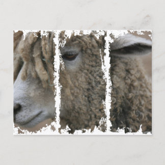 Dirty 3Tall Boxes vycard Vykort