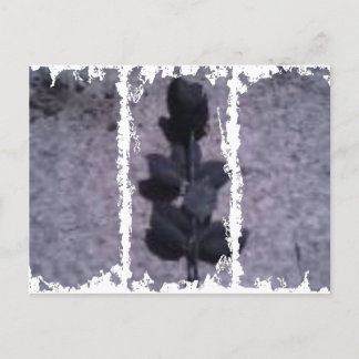 Dirty 3Tall Boxes vycard Vykort