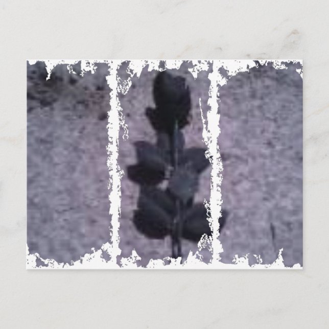 Dirty 3Tall Boxes vycard Vykort (Framsida)