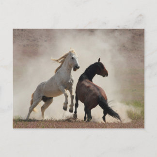 Dirty Business Vykort