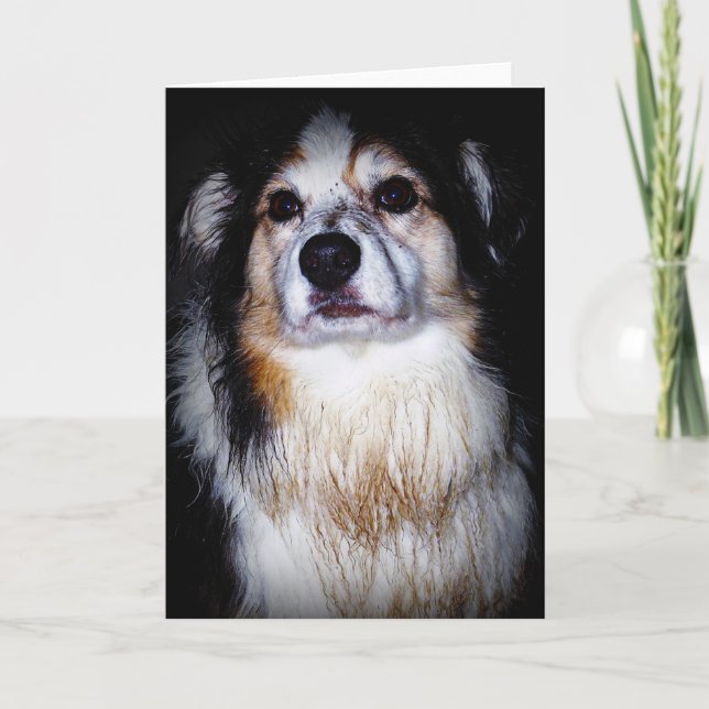 Dirty Digger Doggie Kort (Framsida)