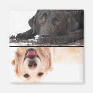 Dirty Hund Clean Hund Dishwasher Magnet