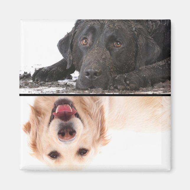 Dirty Hund Clean Hund Dishwasher Magnet (Framsidan)