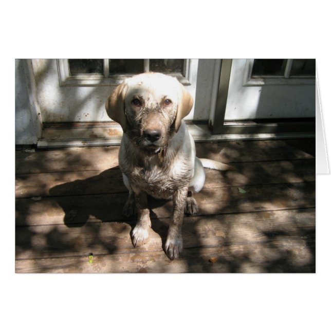 Dirty Hund Hälsningskort (Framsidan Horizontal)