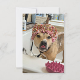 Dirty Hund Puppy Bath Time lustig costume notecard Tack Kort
