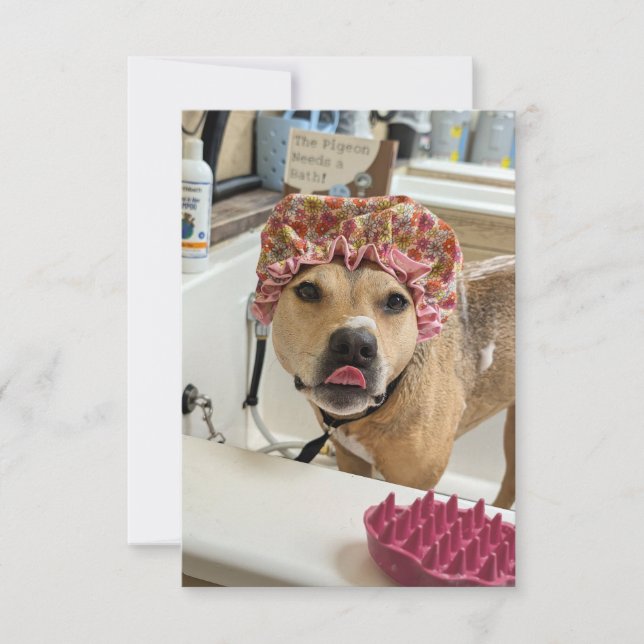 Dirty Hund Puppy Bath Time lustig costume notecard Tack Kort (Framsida)