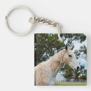 Dirty Roligt: Muddy Big White Horse