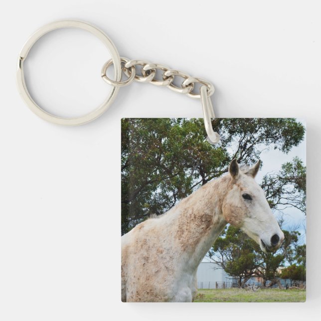 Dirty Roligt: Muddy Big White Horse (Framsidan)