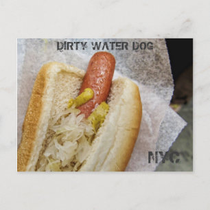 Dirty Vatten Hund NYC-vykort Vykort