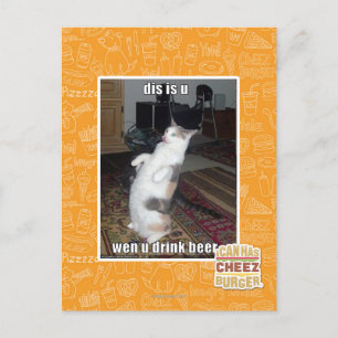 dis is u vykort