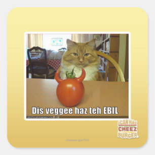 Dis veggee haz the EBIL Fyrkantigt Klistermärke