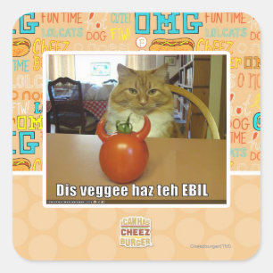 Dis veggee haz the EBIL Fyrkantigt Klistermärke