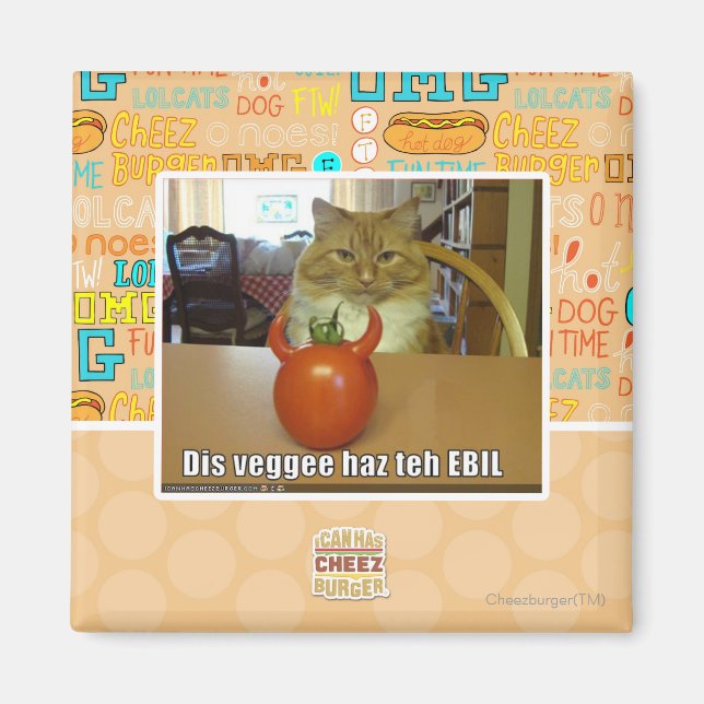 Dis veggee haz the EBIL Magnet (Framsidan)