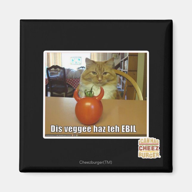 Dis veggee haz the EBIL Magnet (Framsidan)