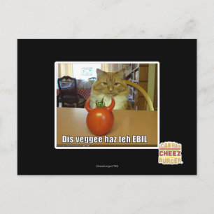 Dis veggee haz the EBIL Vykort