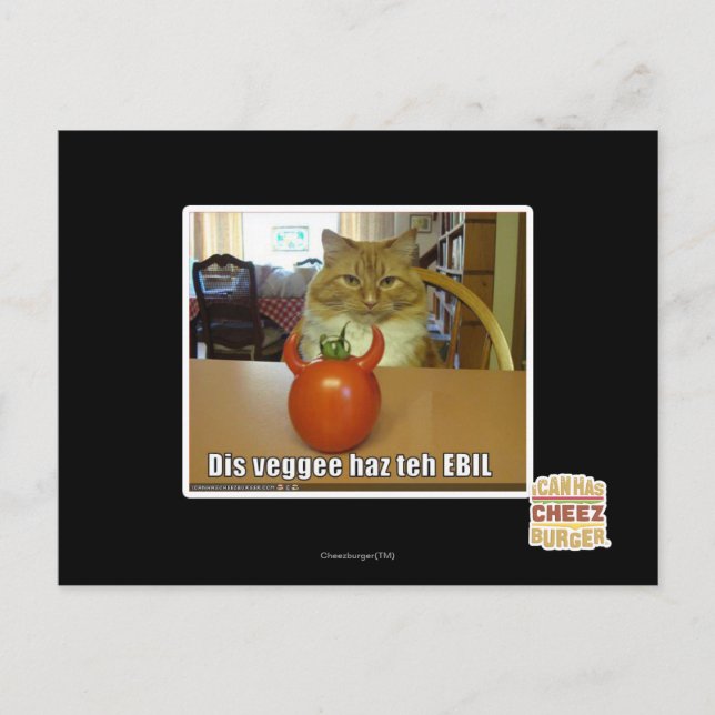 Dis veggee haz the EBIL Vykort (Framsida)