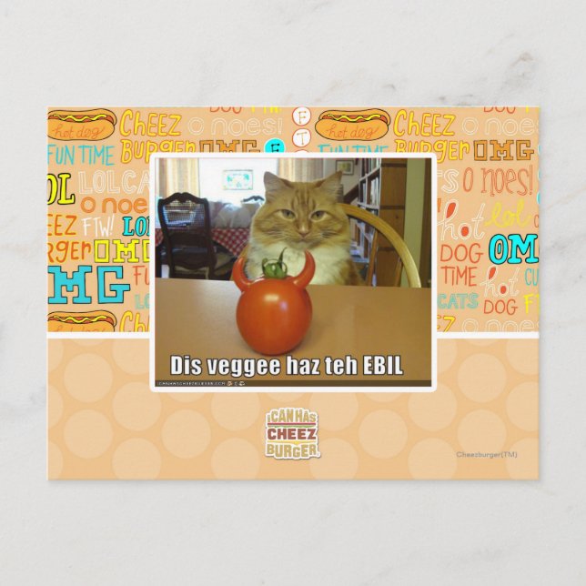Dis veggee haz the EBIL Vykort (Framsida)