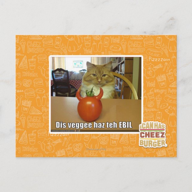 Dis veggee haz the EBIL Vykort (Framsida)