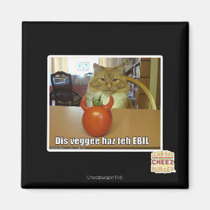 Dis-veggeehaz EBILEN Magnet