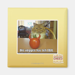 Dis-veggeehaz EBILEN Magnet
