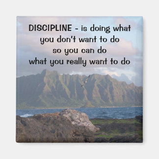 Disciplin Magnet