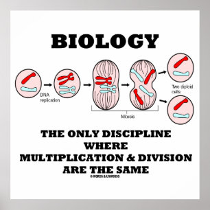 Disciplinär multiplikationsavdelning endast för bi poster