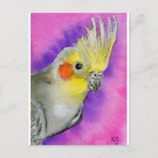 Disco Cockatiel Vykort
