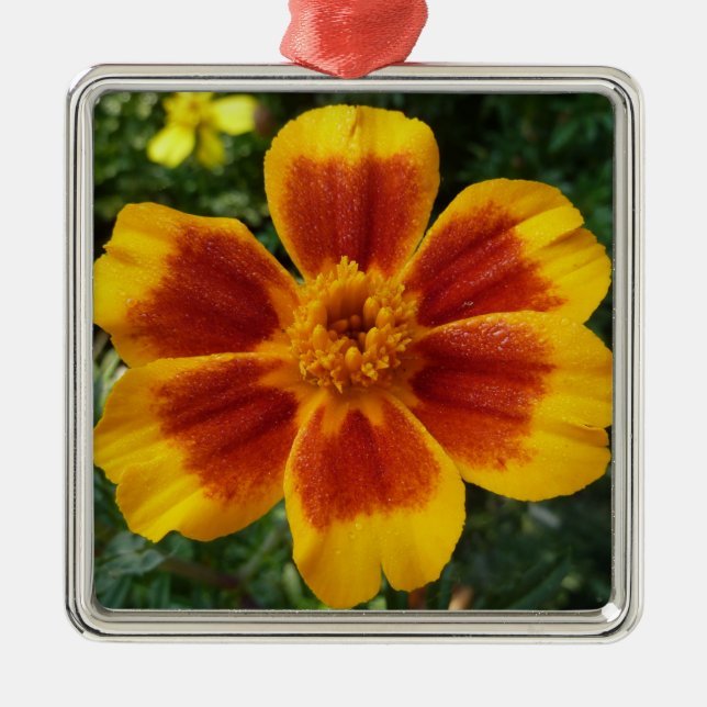 Disco Marigold Orange och Red Summer Flower Julgransprydnad Metall (Framsidan)